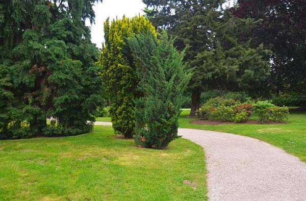 Entretien d’espaces verts Dourdan