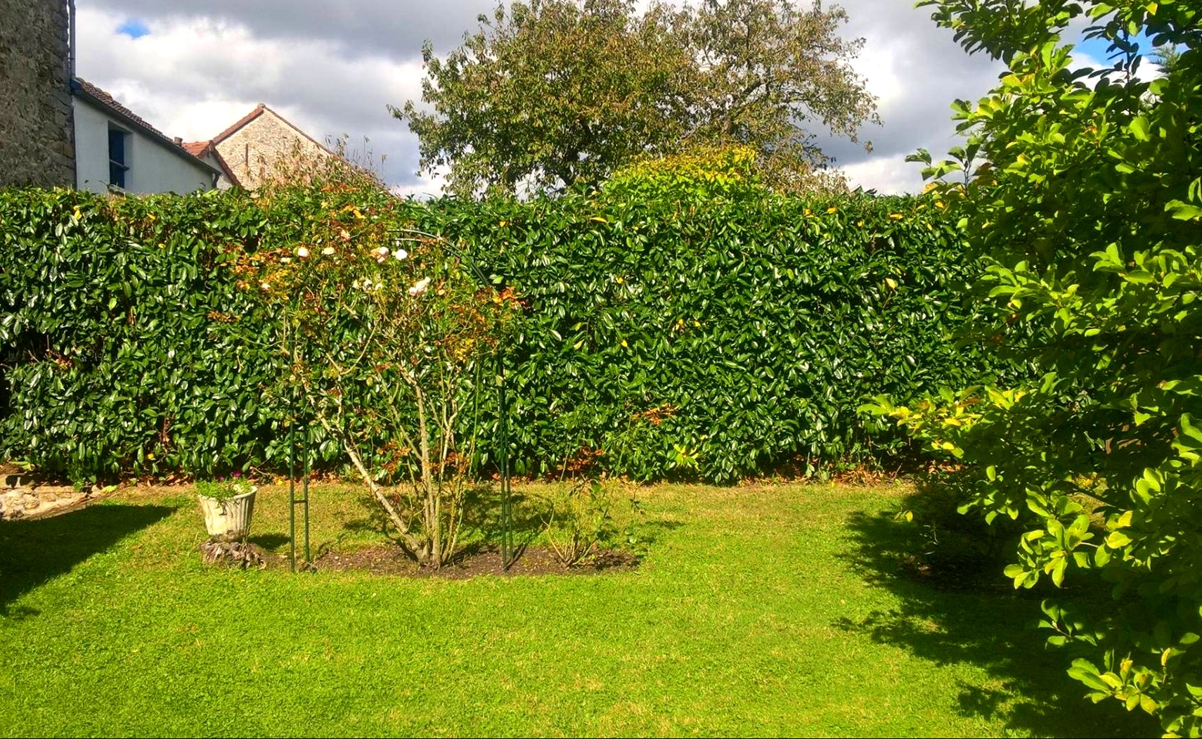 Entretien de jardin Dourdan